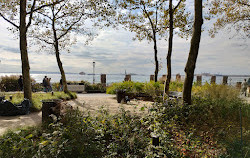 The Battery